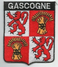 French-Air-Force-Gascogne.jpg